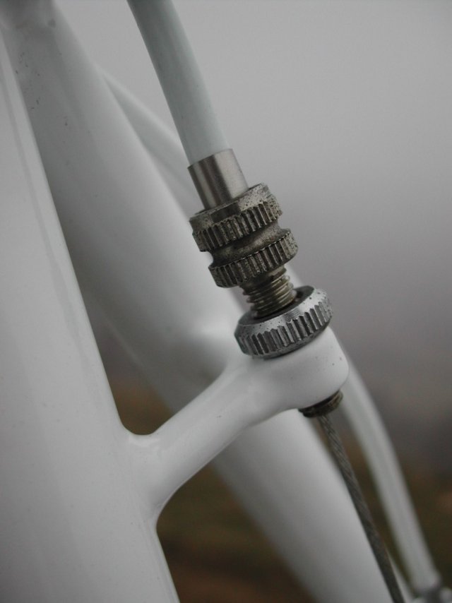 DSCN4039.JPG