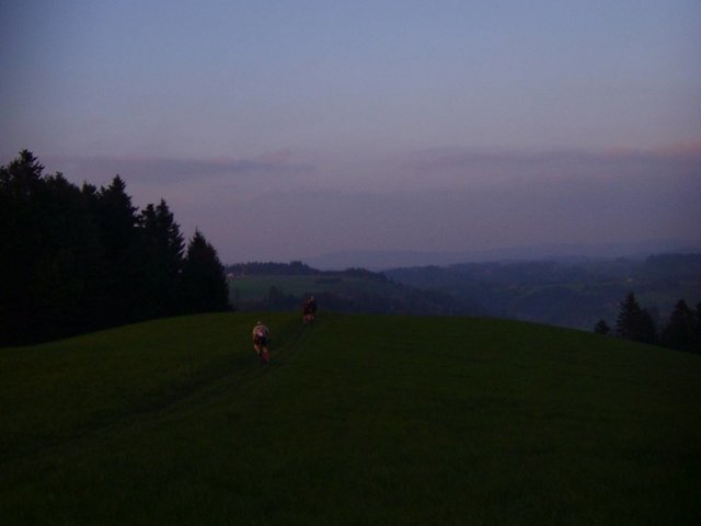 1625821434_42276c3539_b.jpg