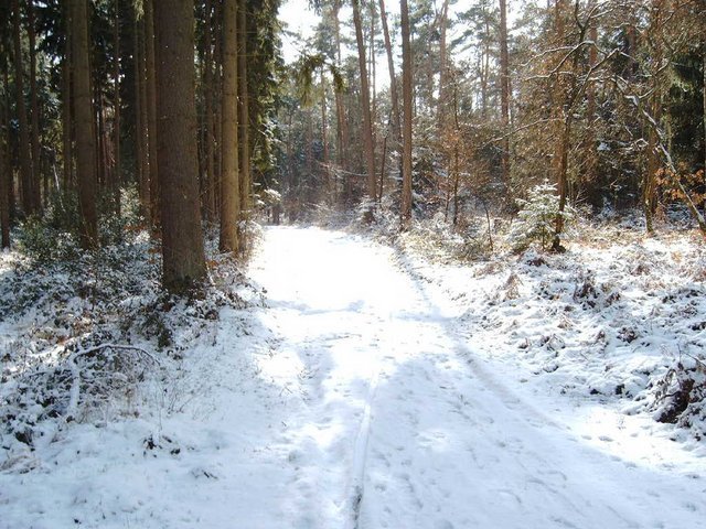 Lohmar_Schnee.JPG