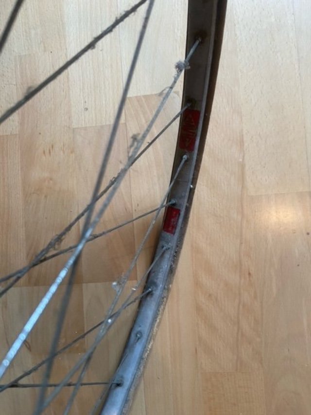 image14.jpeg