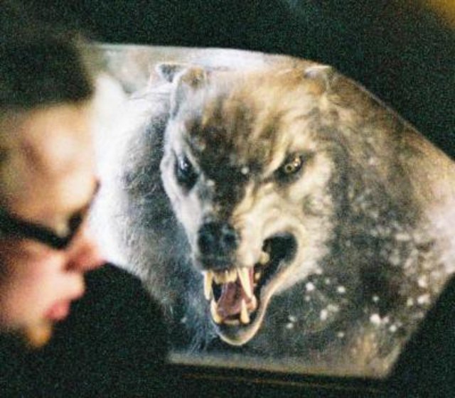 werwolf.jpg