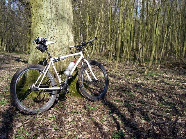 ___surly_rf3.jpg