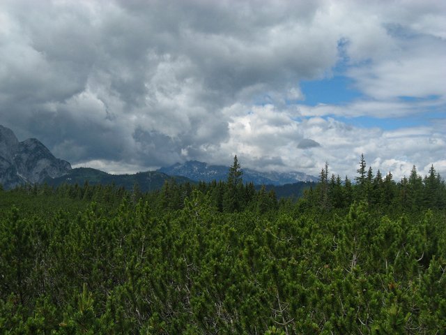 2669875163_23168b0e28_b.jpg