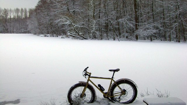 3170237211_4f3dc17d35_b.jpg