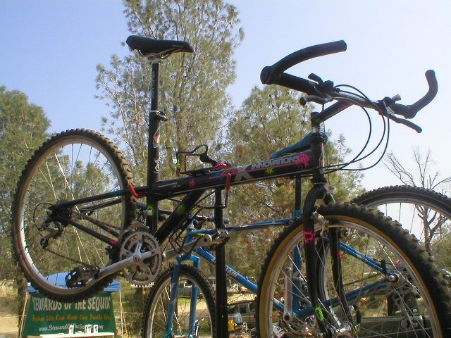 grove-x.jpg