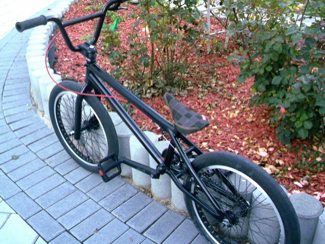 IMAG0013.JPG