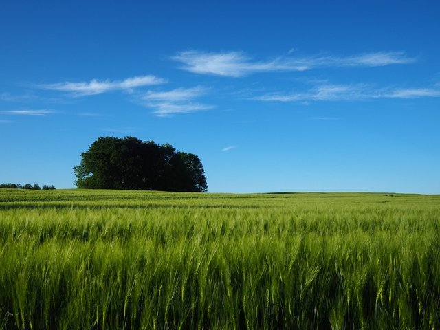 24257765577_06bb326504_k.jpg