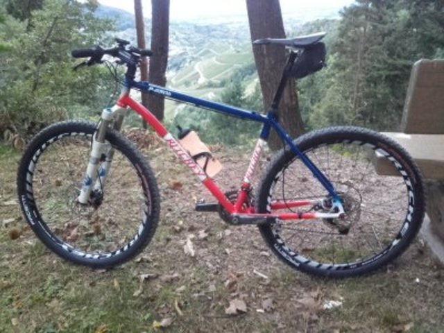Ritchey P-650b li.jpg