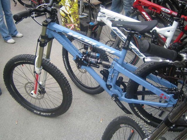 nicolai22.JPG