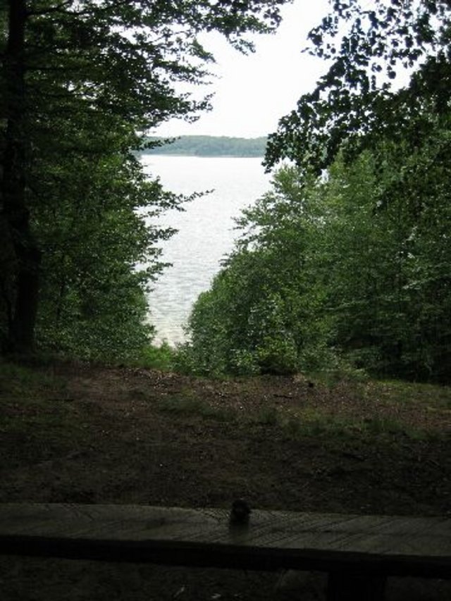 IMG_00477.jpg