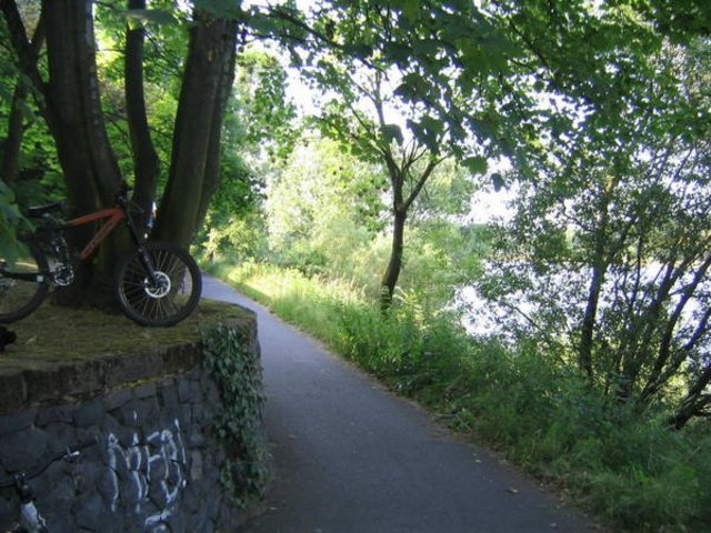 Bild_0132.jpg