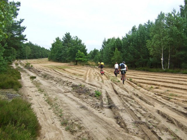 839198666_bce704d6ae.jpg