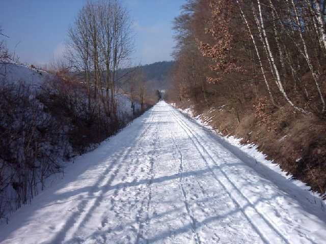 Kopie_von_IMAGE0049.JPG