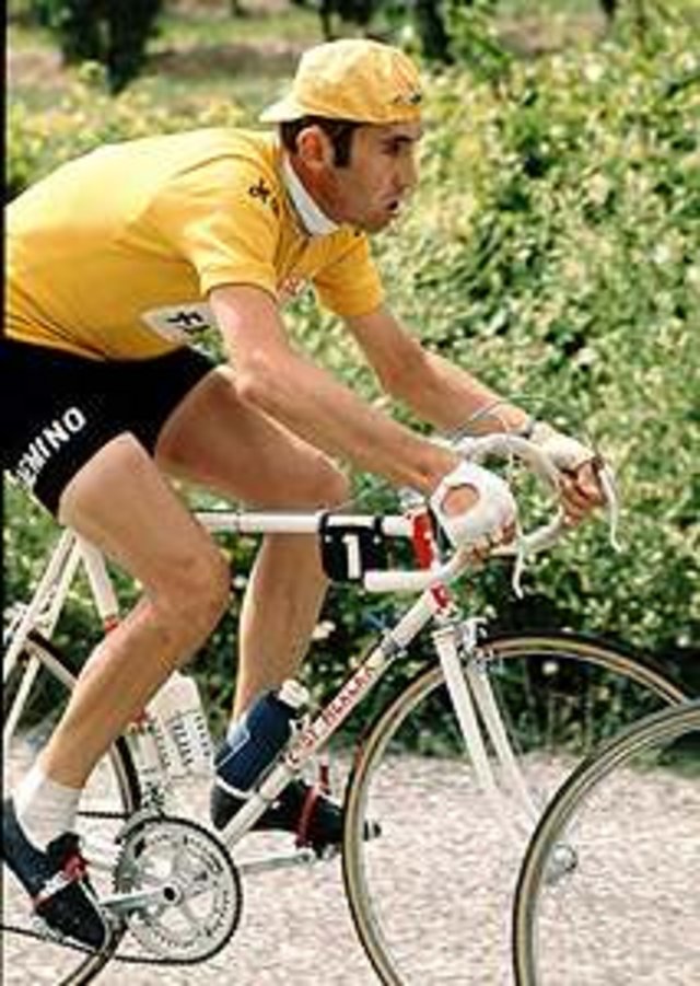 merckx.jpg