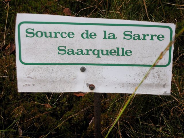 DSCN2849.jpg