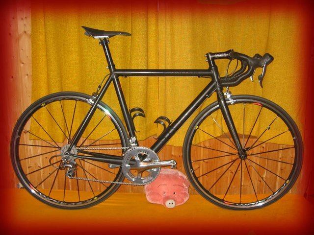 storck_dura_ace.jpg