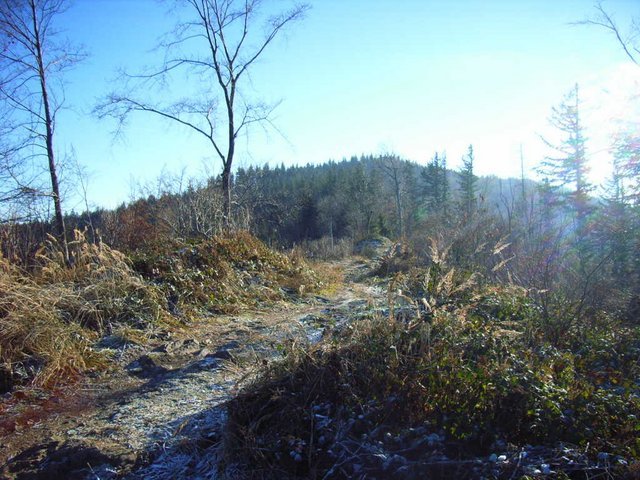 RIMG0135.JPG