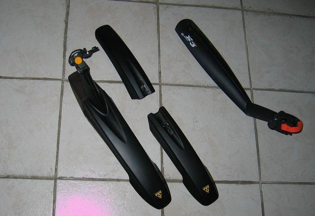 3152456.jpg