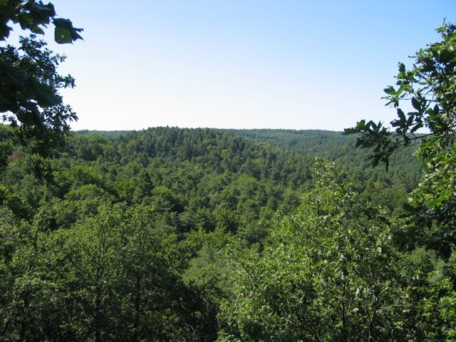 IMG_8645.jpg