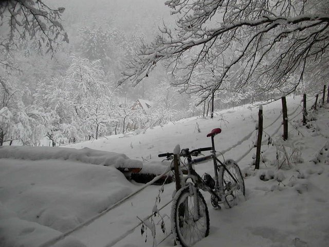 DSCN4158.JPG