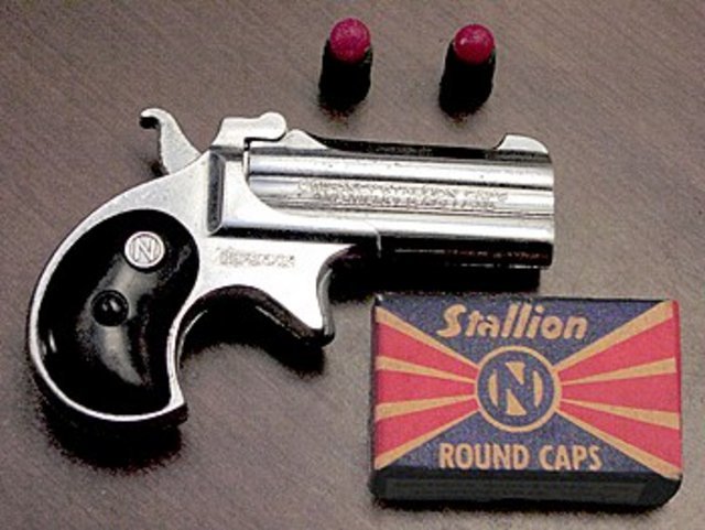 derringer.jpg