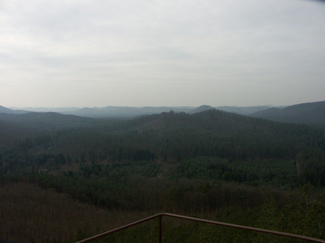 web_PICT0014.JPG