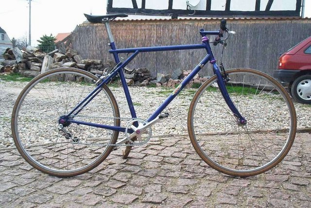 Bild_0309.jpg