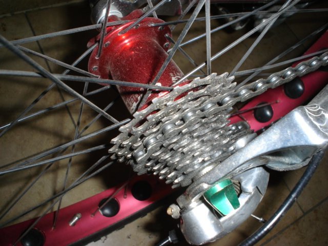 DSC01201.JPG
