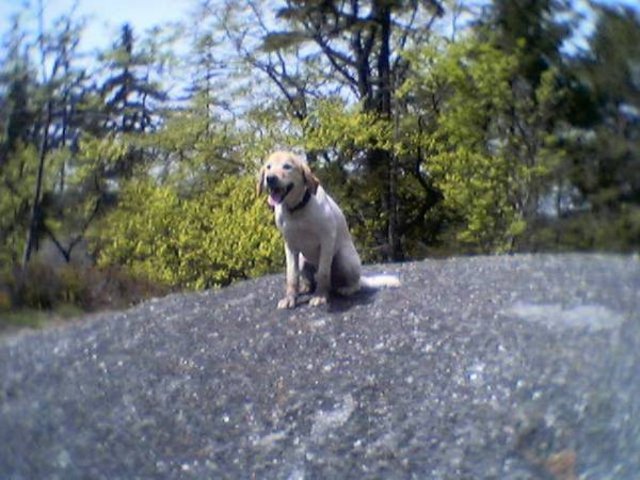 Foto_09_.jpg