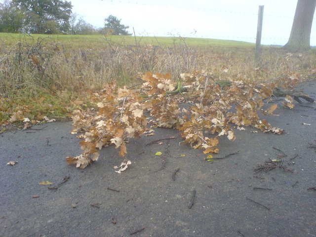 DSC000553.JPG