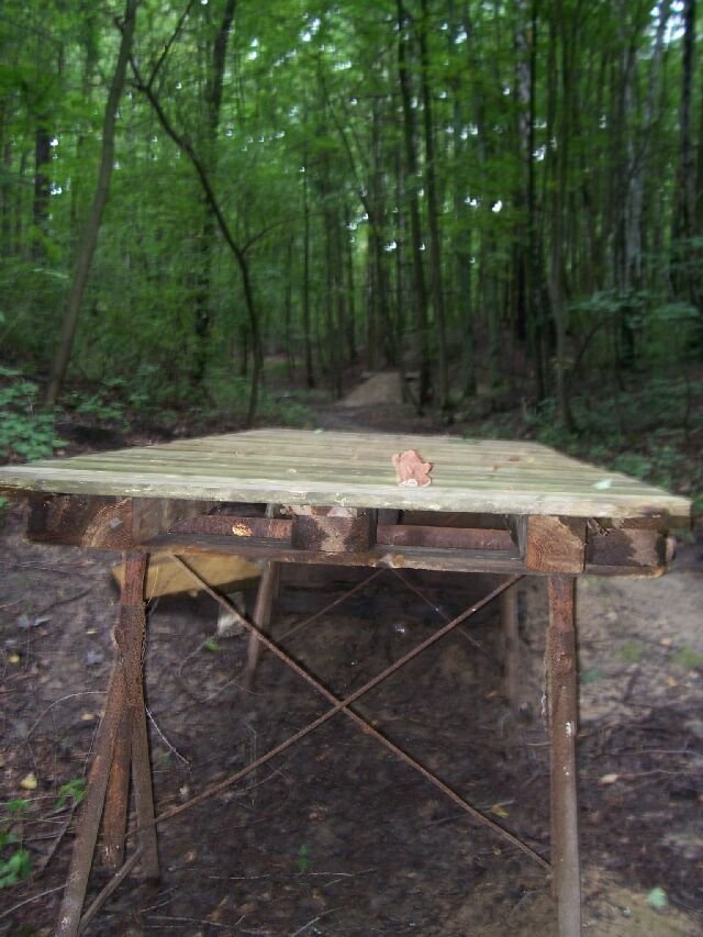 100_0517.jpg
