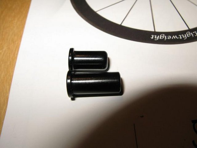 3081331.jpg