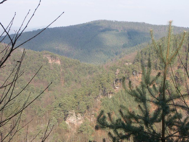 web_PICT0011.JPG