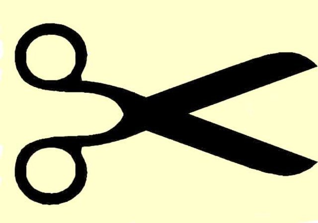 6130359.jpg