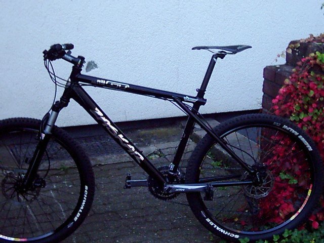 DSCI0002.JPG