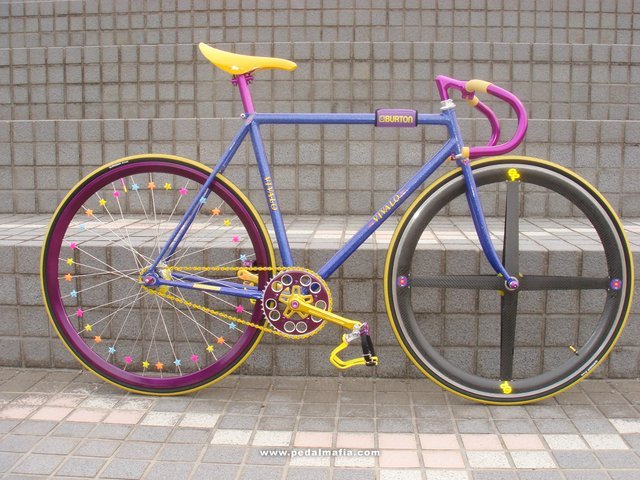 523_1.jpg