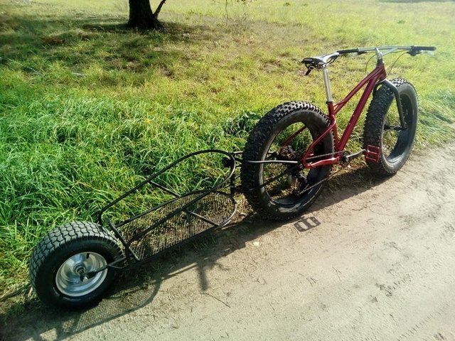 30323634xv.jpg