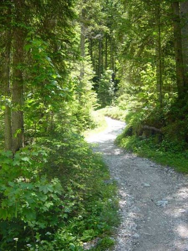 Reintal_Pfad_02.jpg