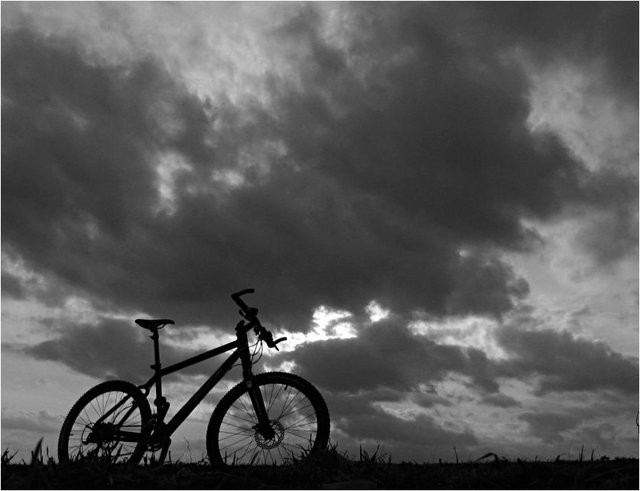 MTB_Freiheit.jpg
