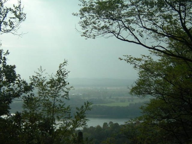 IMGP1421.JPG