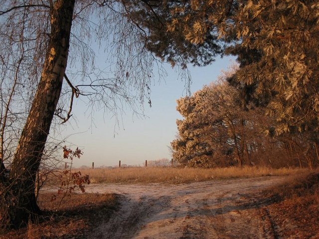 IMG_3242kl.jpg
