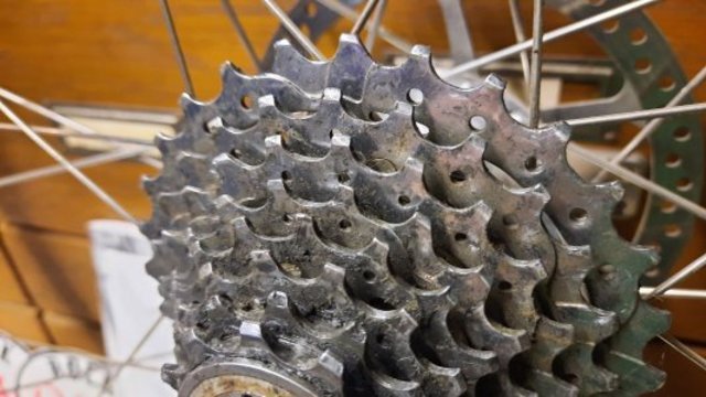 20231104_155520.jpg