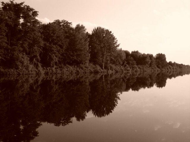 3833605726_6244ab85b7_o.jpg