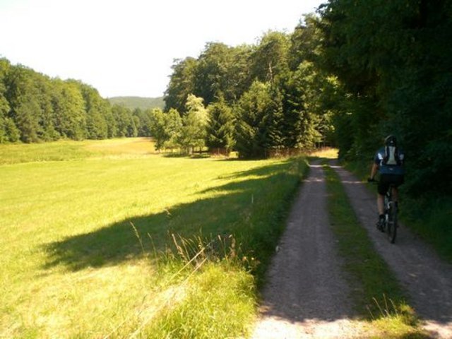 web_CIMG0025.JPG