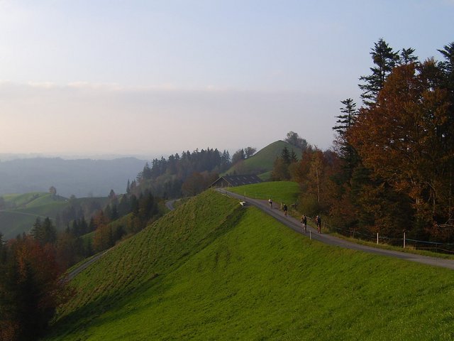1625785586_98f9c155cd_b.jpg