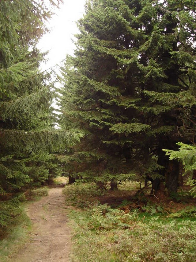 Biketour_StoiserAlm_011.jpg