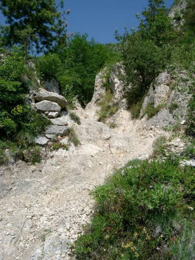 s117.jpg