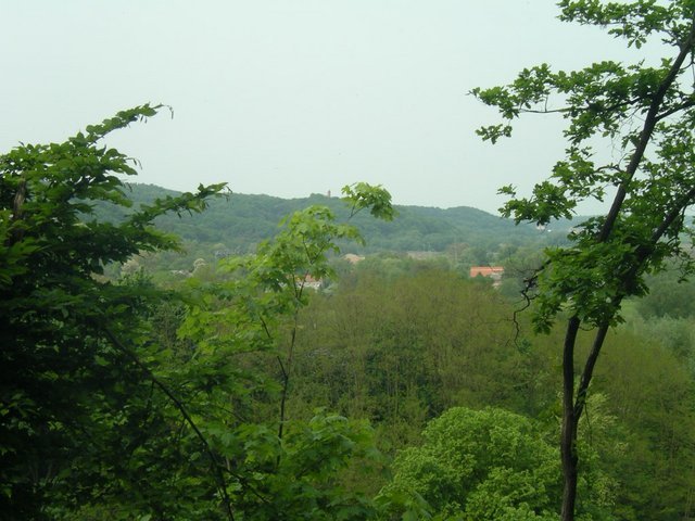 IMGP1605.JPG