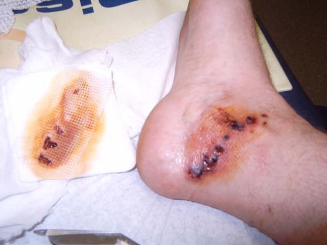 23_06_2005-08.jpg