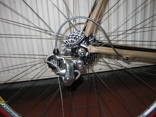 3891116.jpg